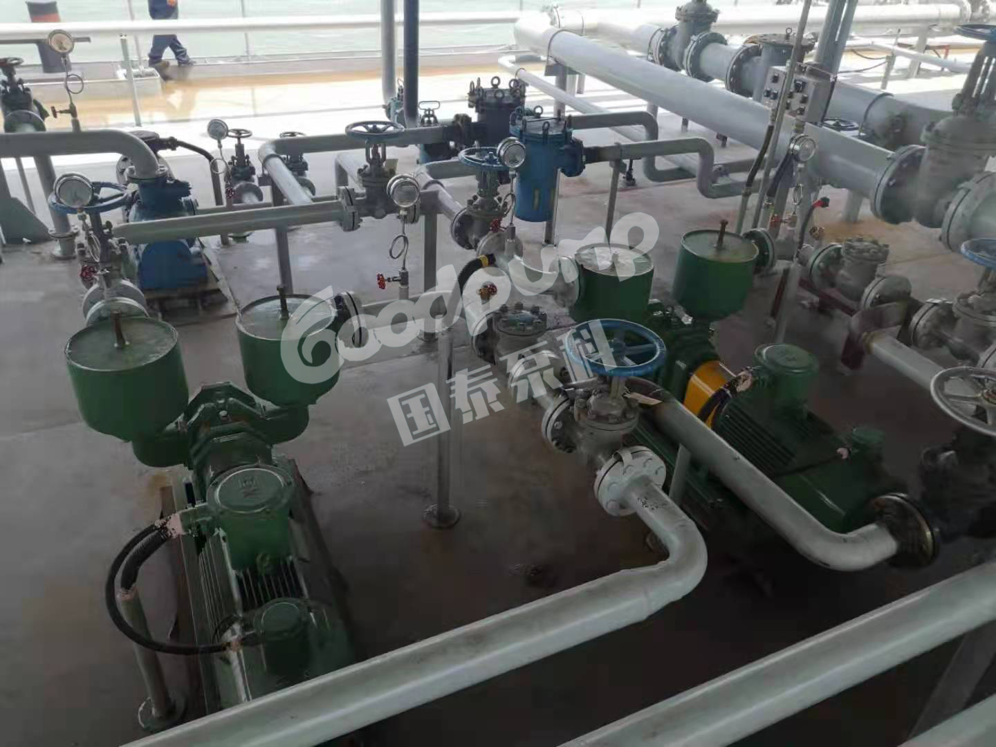 船用蘑菇视频黄片